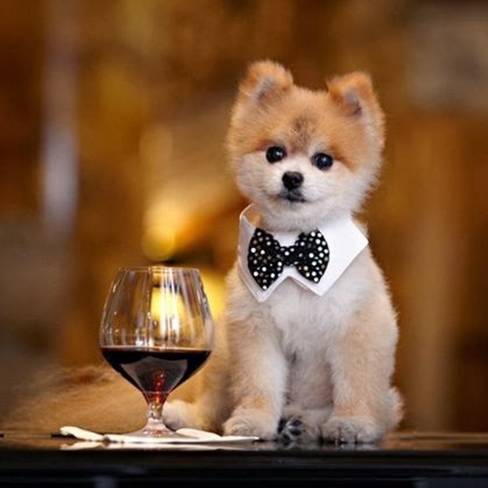 Meet your Posher, Khacky